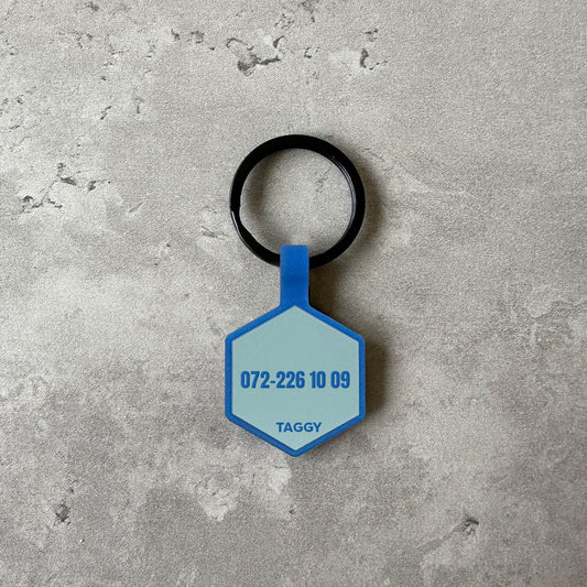 Light blue name tag for dog - Font Anton