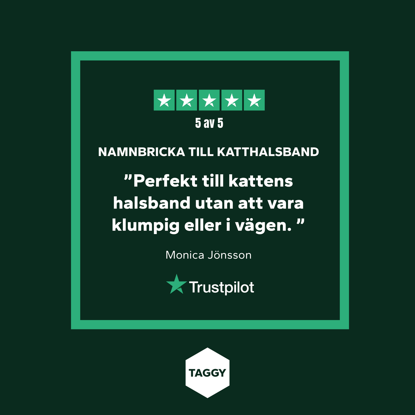 Namnbricka till katthalsband i akryl