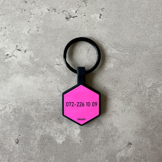 Cerise dog name tag - Font Anton