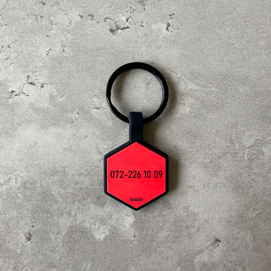 Red name tag for dog - Font Anton