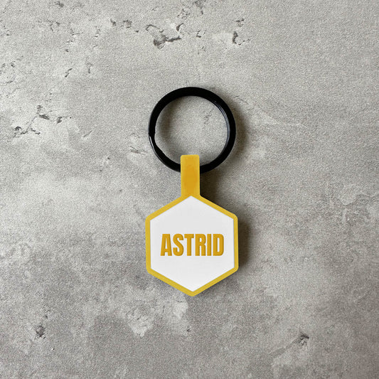 Light blue name tag for dog - Font Anton