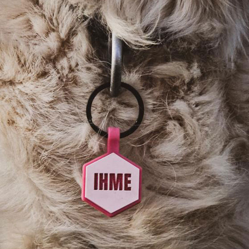 Light pink name tag for dog - Font Anton